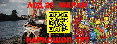 МДПВ Кингисепп