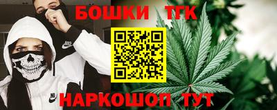 МДПВ Кингисепп