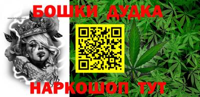 МДПВ Кингисепп
