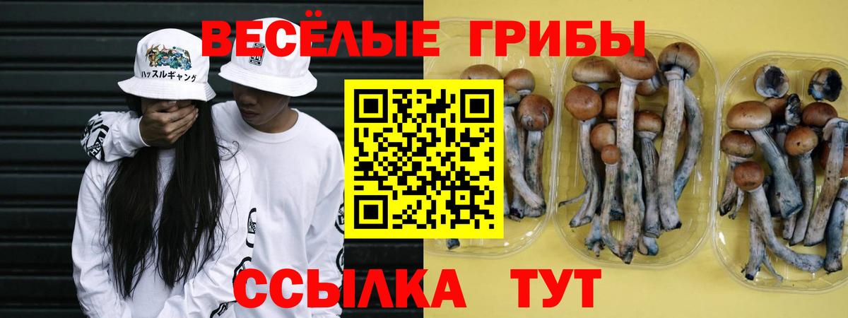 Псилоцибиновые грибы MAGIC MUSHROOMS  Вход с VPN  Кудрово 