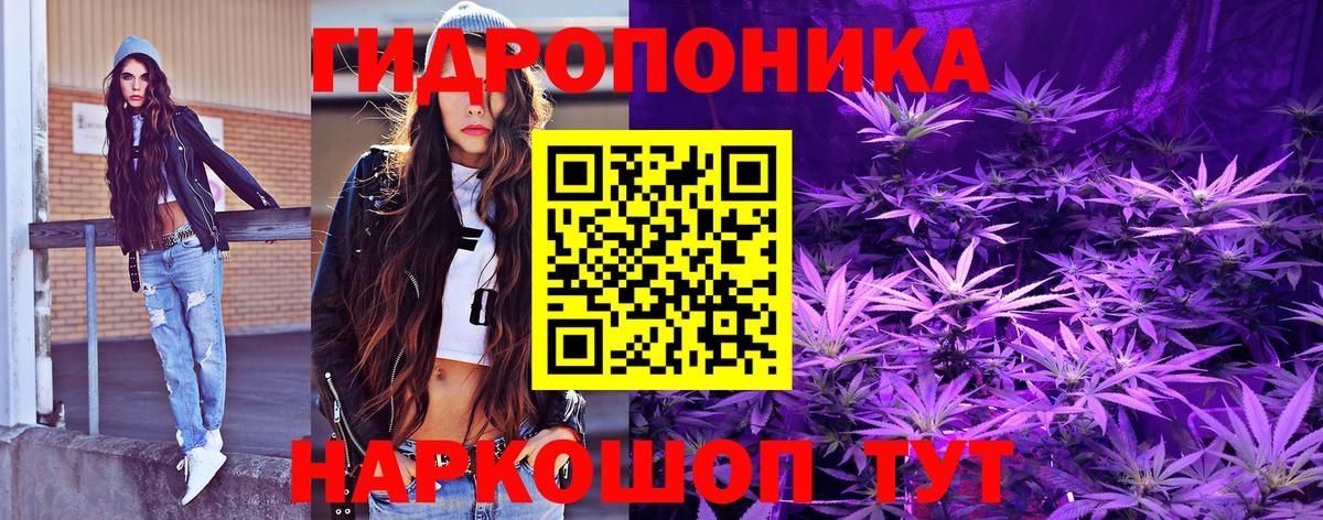 Конопля AK-47  Вход с VPN  Кудрово  Бошки марихуана Bruce Banner  Марихуана AK-47 