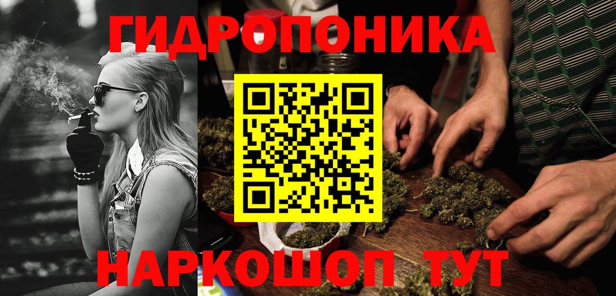 Марихуана OG Kush Кудрово